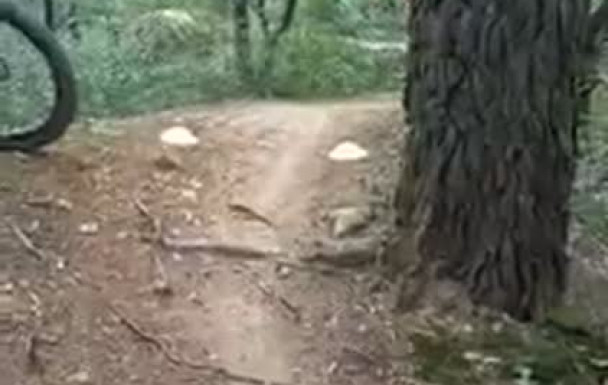 Ecole VTT Maniabilit